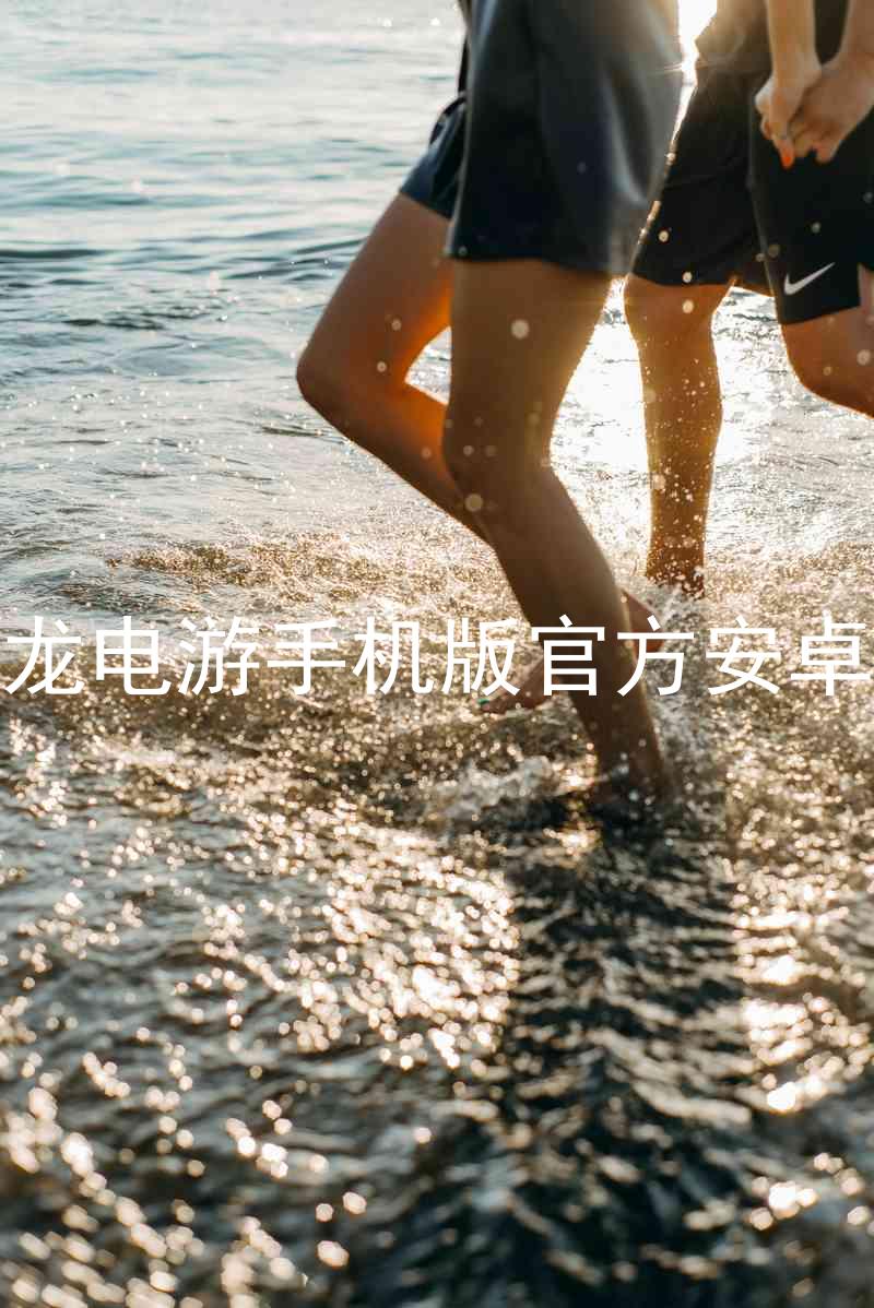 尊龙电游手机版官方安卓版