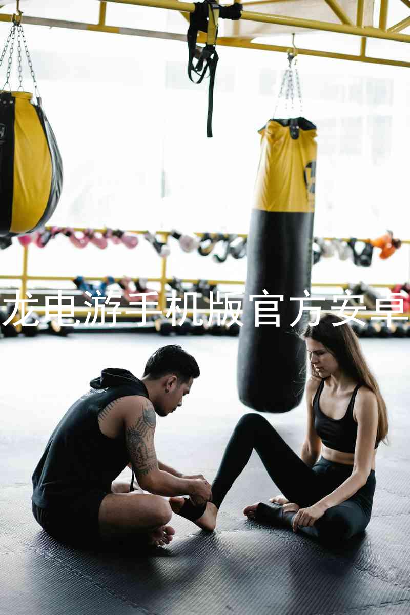 尊龙电游手机版官方安卓版
